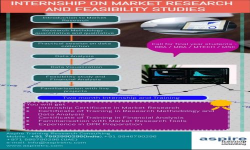 Internship on Market Research and Feasibility Studies