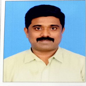 Vignesh P